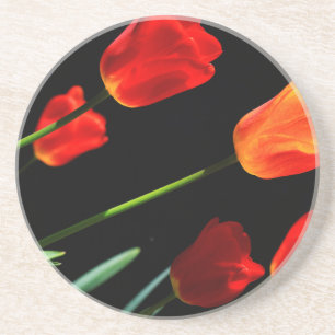 Orange Red Tulip Blume Schwarzer Hintergrund Untersetzer