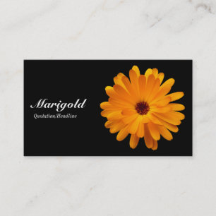 Orange Ringelblumen-Schwarzes Visitenkarte