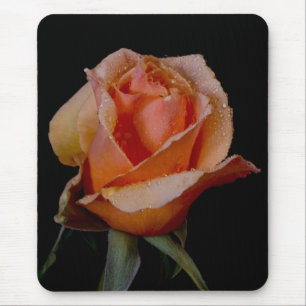Orange Rose 3 Mousepad