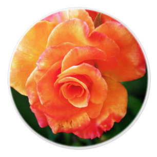 Orange Rose Blume Keramikknauf