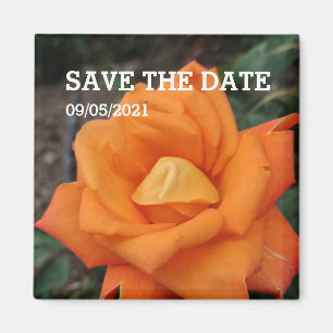 Orange-Rose-Blume-Magnet Magnet