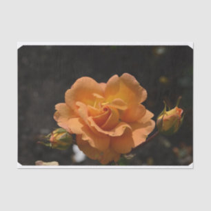 Orange Rose Bush Seidenpapier