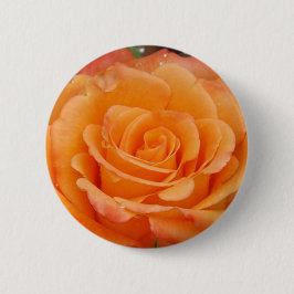 Orange Rose Button