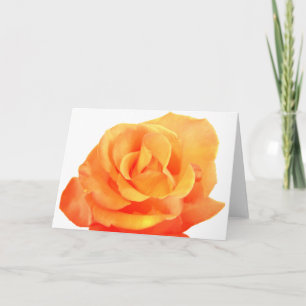 Orange Rose Card Karte