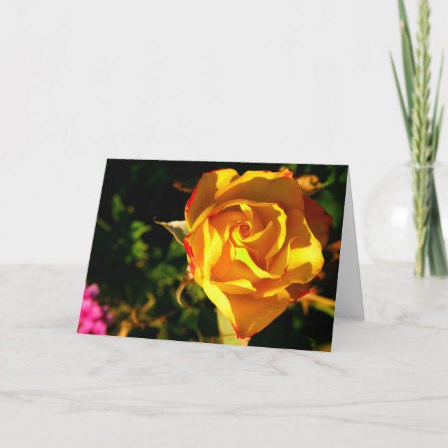 Orange Rose Feiertagskarte (Vorderseite)