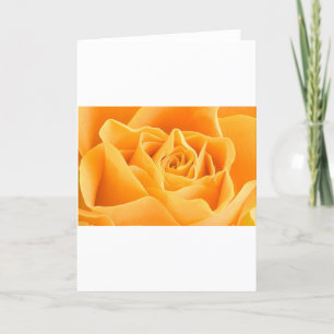 ORANGE ROSE FEIERTAGSKARTE