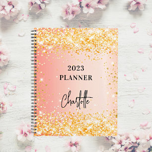 Orange Rose Gold Glitzer Skript Glam 2023 Planer