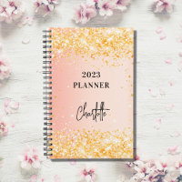 Orange Rose Gold Glitzer Skript Glam 2023