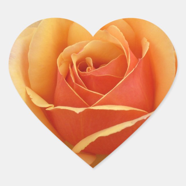 Orange Rose Herz-Aufkleber (Vorderseite)