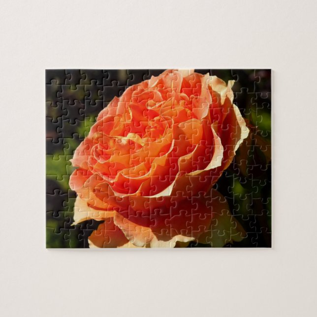 Orange Rose II Beautiful Floral (Horizontal)