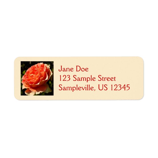 Orange Rose II Beautiful Floral (Vorne)