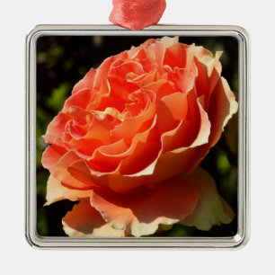 Orange Rose II Beautiful Floral Ornament Aus Metall