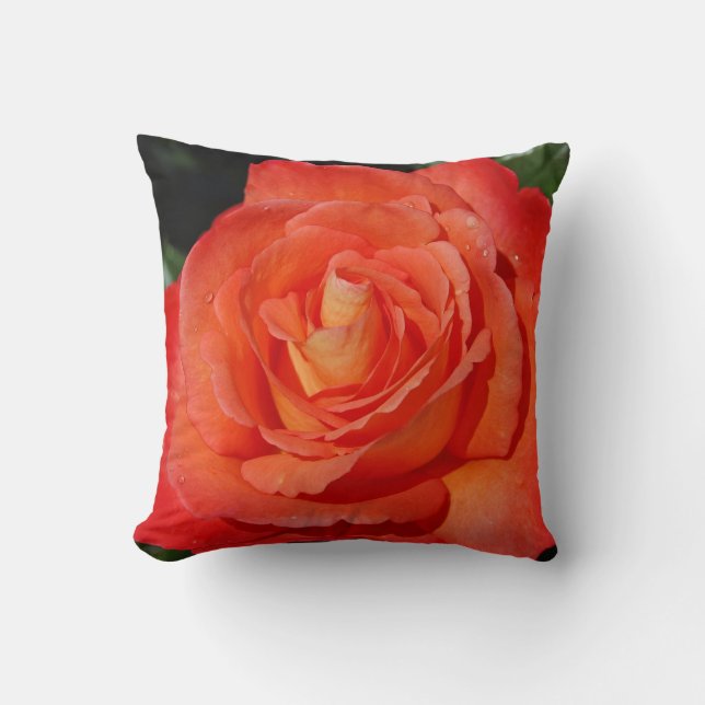 Orange Rose Kissen (Vorderseite)