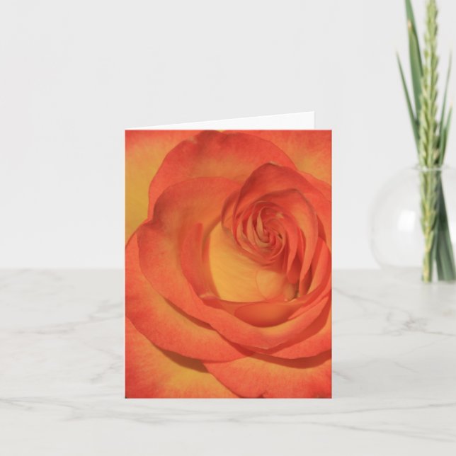 Orange Rose Notecard Karte (Vorderseite)