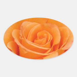 Orange Rose Ovaler Aufkleber