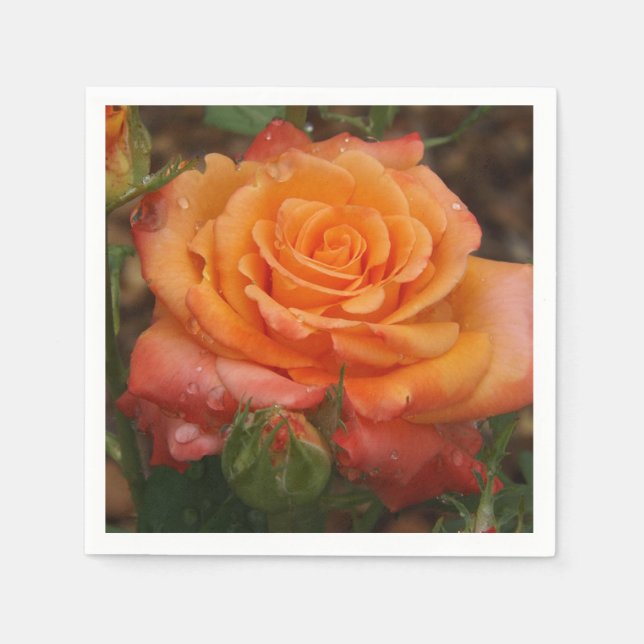 Orange Rose Paper Napkin Serviette (Vorderseite)