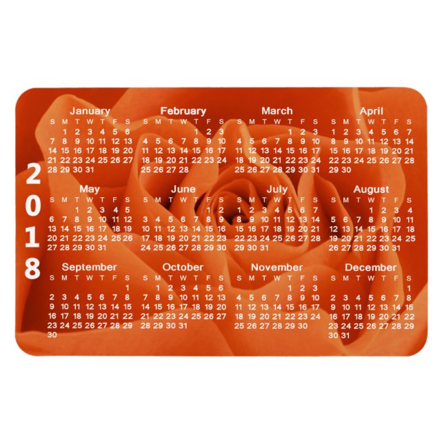 Orange Rose Petals 2018 Kalender Magnet (Horizontal)