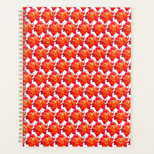 Orange Rose Planer (Vorderseite)