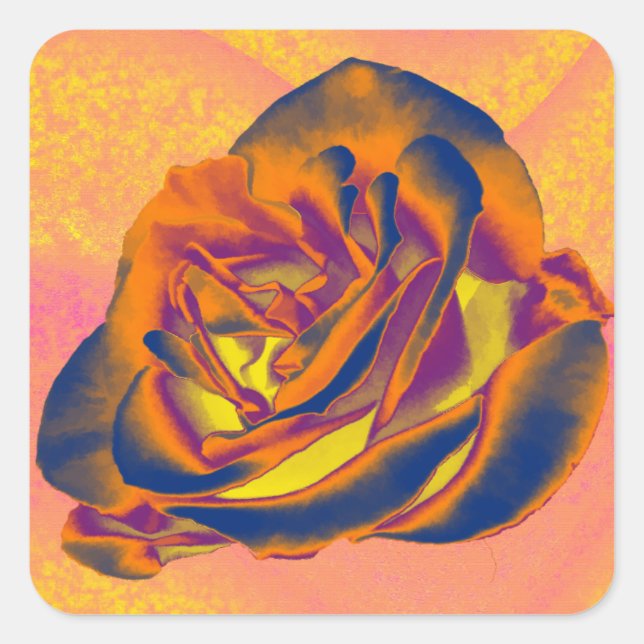 Orange-Rose Quadratischer Aufkleber (Vorderseite)