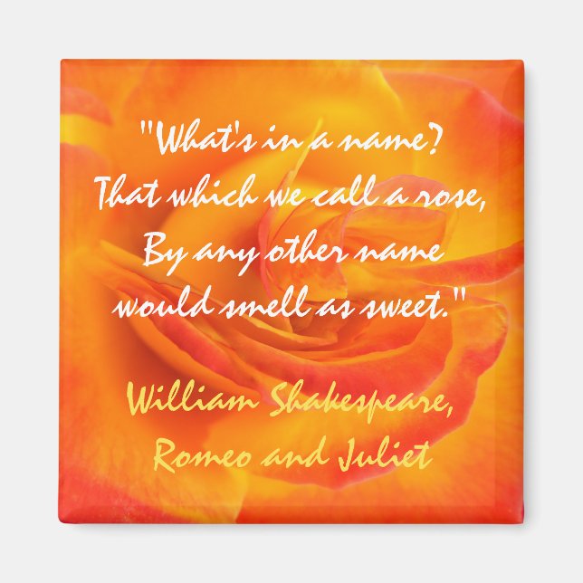 Orange Rose Quote Magnet (Vorne)