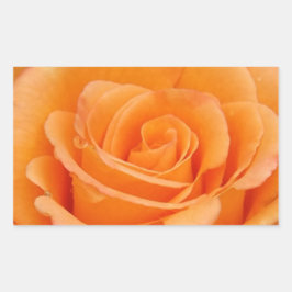 Orange Rose Rechteckiger Aufkleber