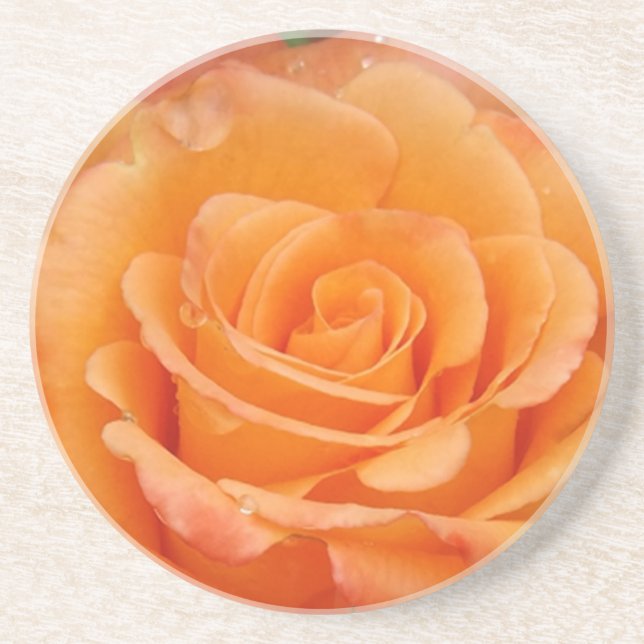 Orange Rose Sandstein Untersetzer (Vorne)