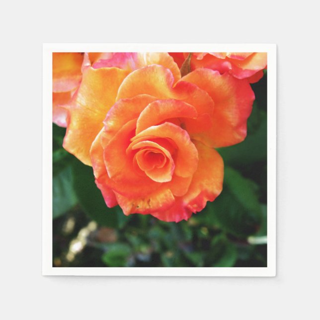 Orange Rose Serviette (Vorderseite)