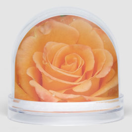 Orange Rose Snow Globe Schneekugeln
