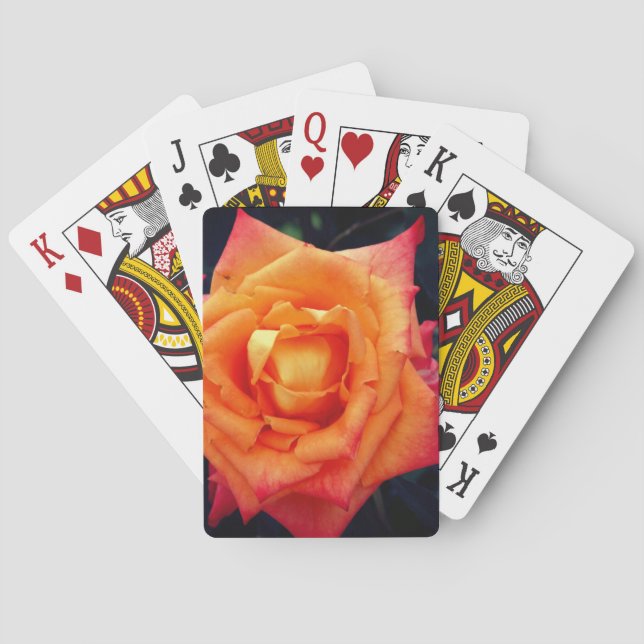 Orange-Rose Spielkarten (Rückseite)