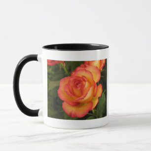 Orange Rose Tasse
