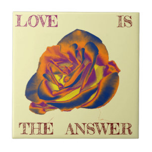 Orange Rose Tile Fliese