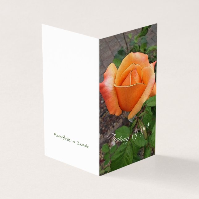 Orange Rosebud (Outside)