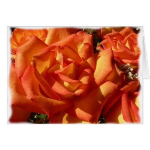 Orange Rosen-Karte