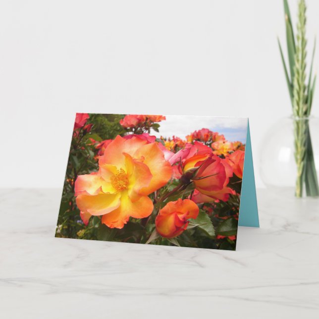 Orange Roses Jaunes Fleurs florales Carte Annivers (Devant)