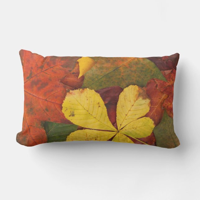 Orange, roter, gelber Herbst verlässt Kissen im (Vorderseite)