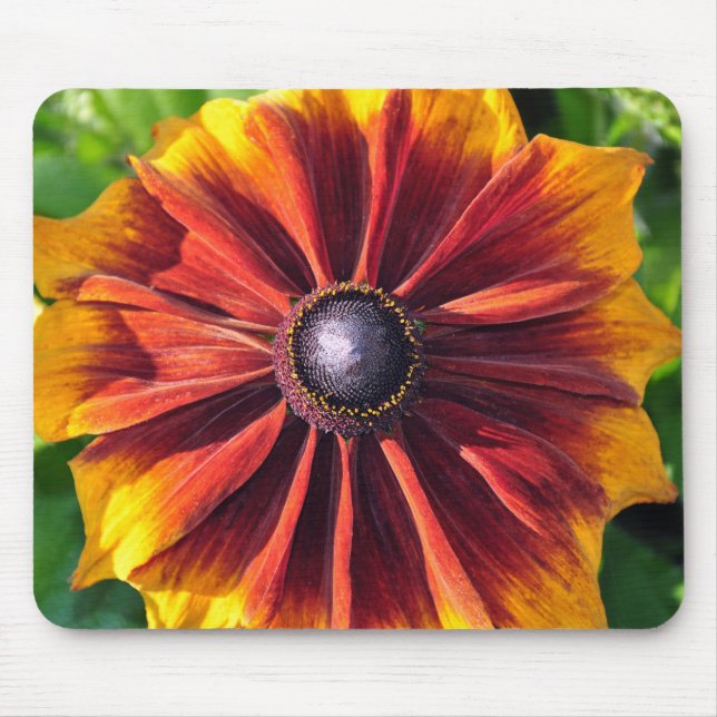 Orange rudbeckia Blume Mousepad (Vorne)