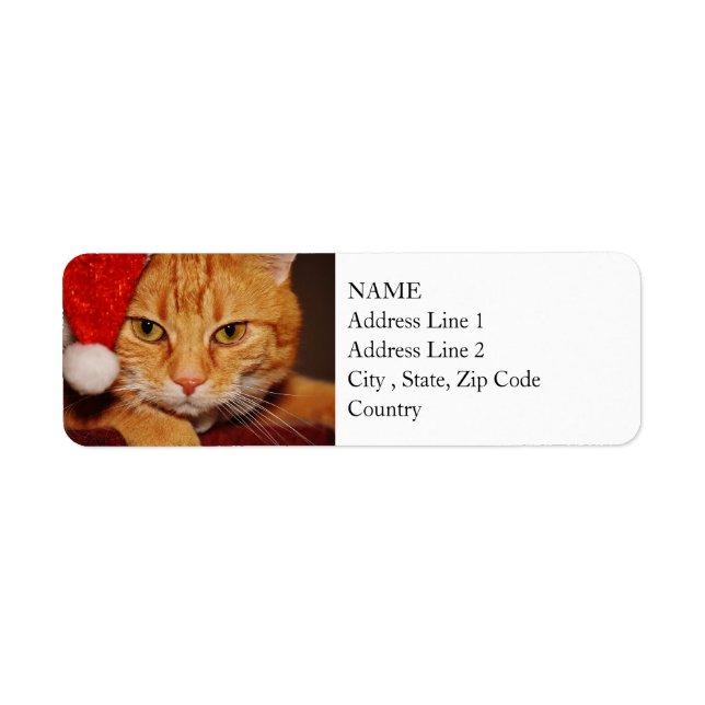 Orange Santa Kitty: Frohe Weihnachten von der Katz (Vorne)