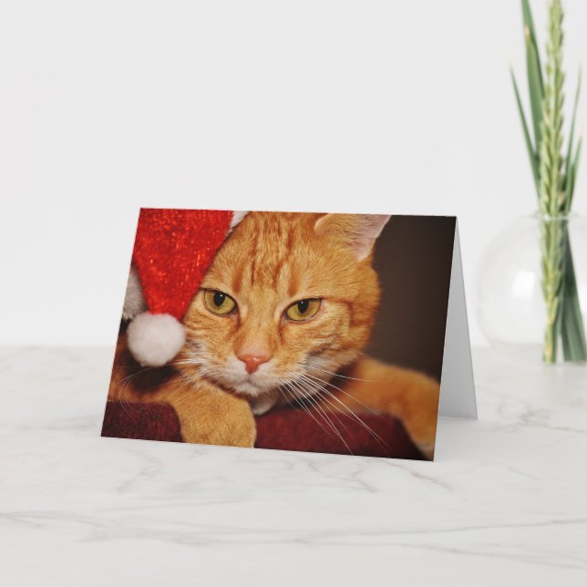 Orange Santa Kitty: Frohe Weihnachten von der Katz (Vorderseite)