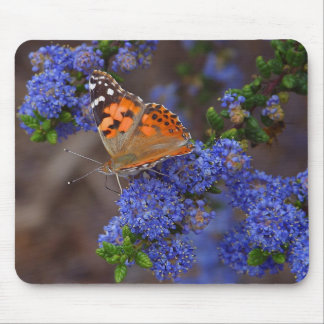Orange Schmetterling auf blauer Blume Mousepad