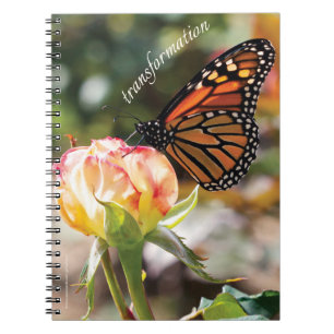 Orange Schmetterling auf Rose - gewundenes Notizblock