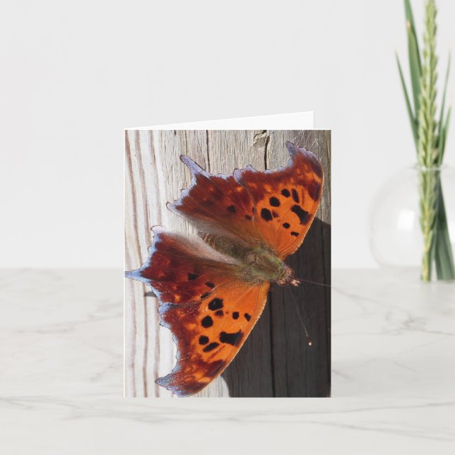 Orange Schmetterlings-Anmerkungskarte Karte (Vorderseite)