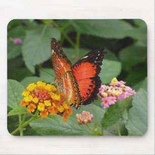 Orange Schönheit Mousepad