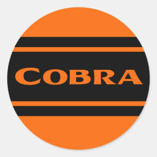 Orange schwarzes Rennen Stripes Kobra-Aufkleber Runder Aufkleber