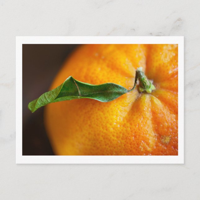 Orange Sie froh? Postkarte (Vorderseite)