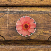 Orange Single Dahlia Floral