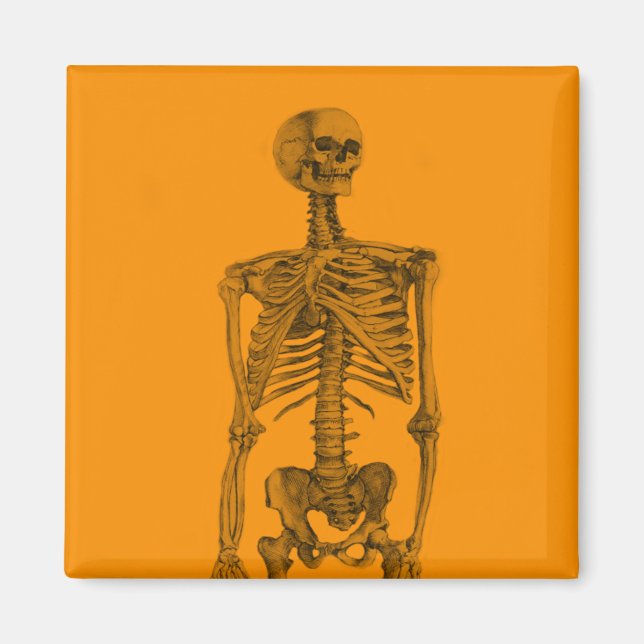 Orange Skeleton Skull Magnet (Vorne)