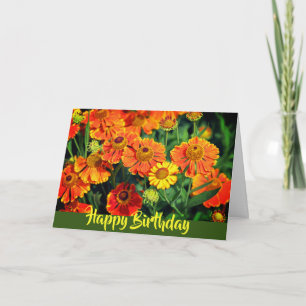 Orange Sneezewort Blume Happy Birthday Karte