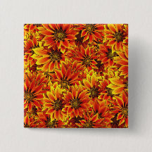 Orange Sonnenblumen