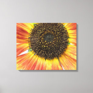 Orange Sonnenblumen Canvas Print Leinwanddruck