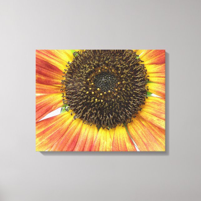 Orange Sonnenblumen Canvas Print Leinwanddruck (Vorderseite)
